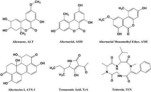 新疆农业大学夏利宁教授团队提出反刍动物饲料中新兴霉菌毒素污染物的防控技术