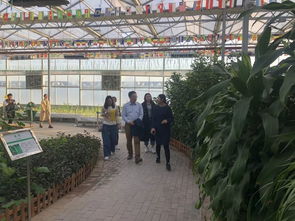 黄瓜小镇的神秘客人 农业科学研究和试验发展的新篇章