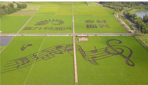 优质特种稻产业振兴示范园签约揭牌仪式圆满举行