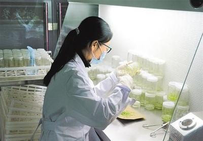 产业兴 乡村美 农民乐——深耕农业科研绘就乡村振兴新画卷