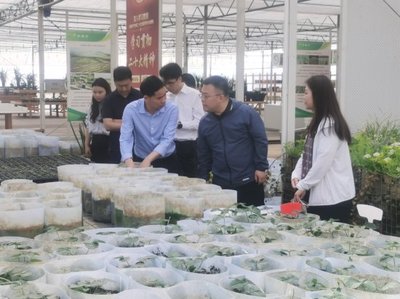 深入调研谋发展 院地合作促振兴——花溪区委常委、组织部部长张楠一行莅临我院调研座谈