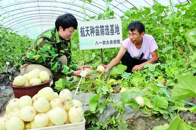 十三五开局之年 经济社会发展平稳，农业科研试验发展迈出新步伐