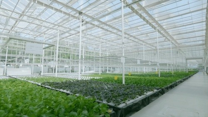 国家农业科技园园艺创新中心正式开园 赋能农业科学研究与试验发展