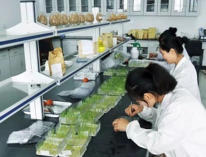 中农立华董事长苏毅 以“种子+农药”业务协同发展引领农业科学新未来