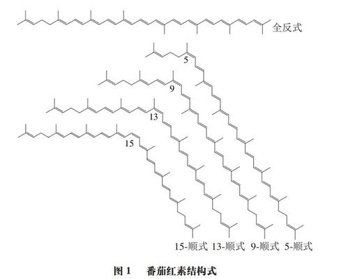 番茄红素异构化研究进展 华中农业大学潘思轶教授团队的农业科学探索