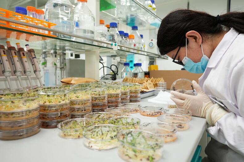 联播+|抓好春耕备耕 总书记开出“良”方 农业科学研究和试验发展