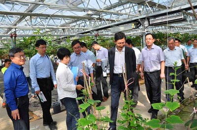 科技赋能农业发展 国家农业科技园区调研组考察白马基地纪实